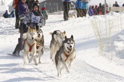 Lenk 2012 SM